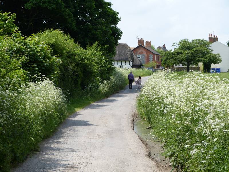 Summer lane in Avebury Village