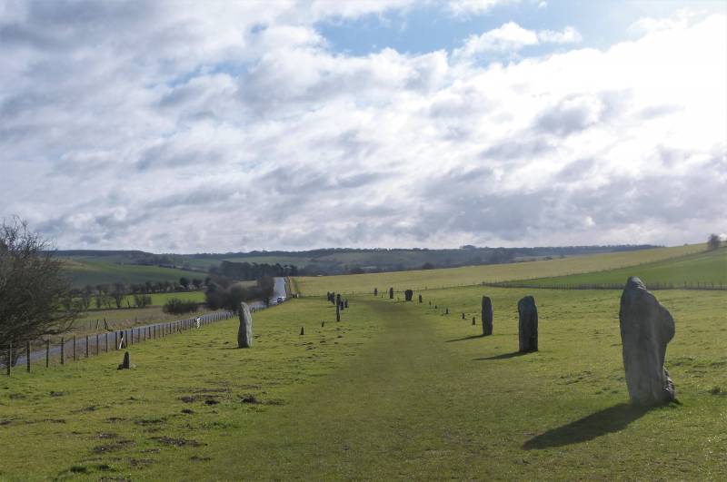Avebury and Stonehenge Private Guides - at West Kennet Avenue