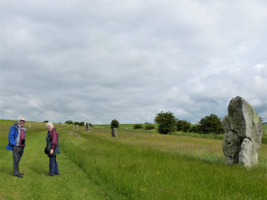 Avebury and Stonehenge Private Guides - on West Kennet Avenue with clients